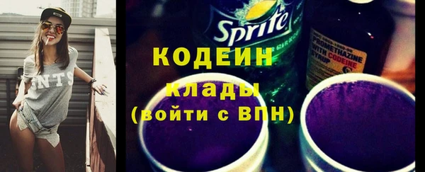 прущий лед Бородино