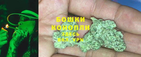 прущий лед Бородино