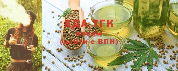 прущий лед Бородино