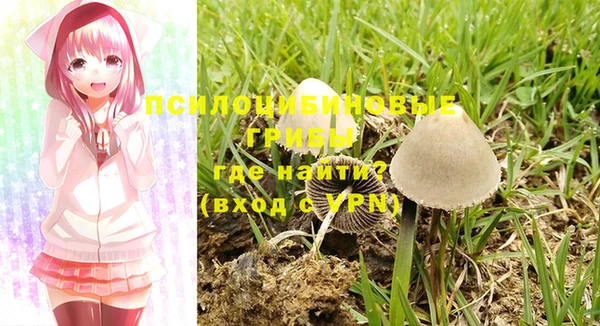 прущий лед Бородино