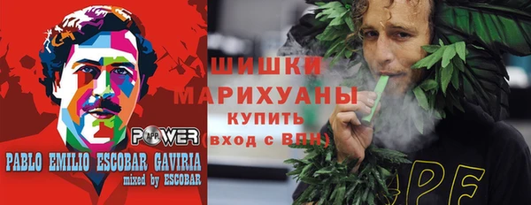 прущий лед Бородино